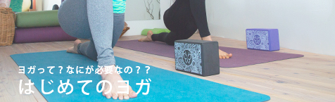 ヨガ入門