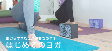ヨガ入門